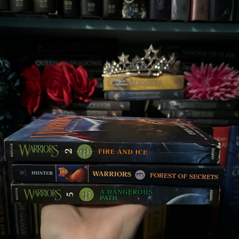 Warriors The Prophecies Begin | Book Bundle